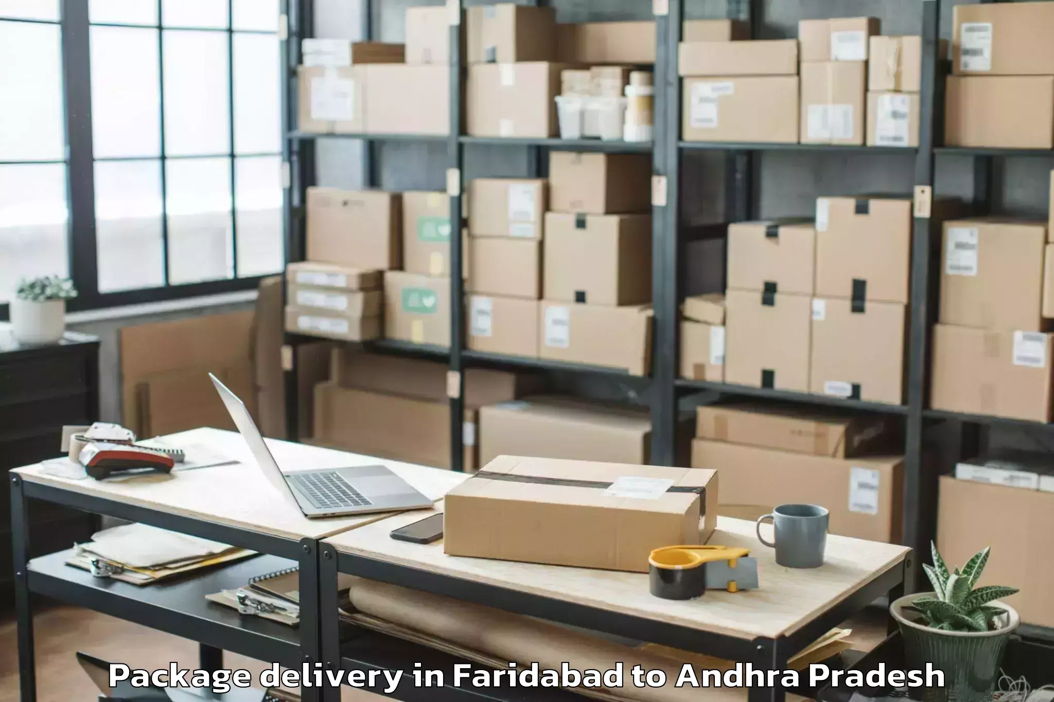 Quality Faridabad to T Sundupalle Package Delivery